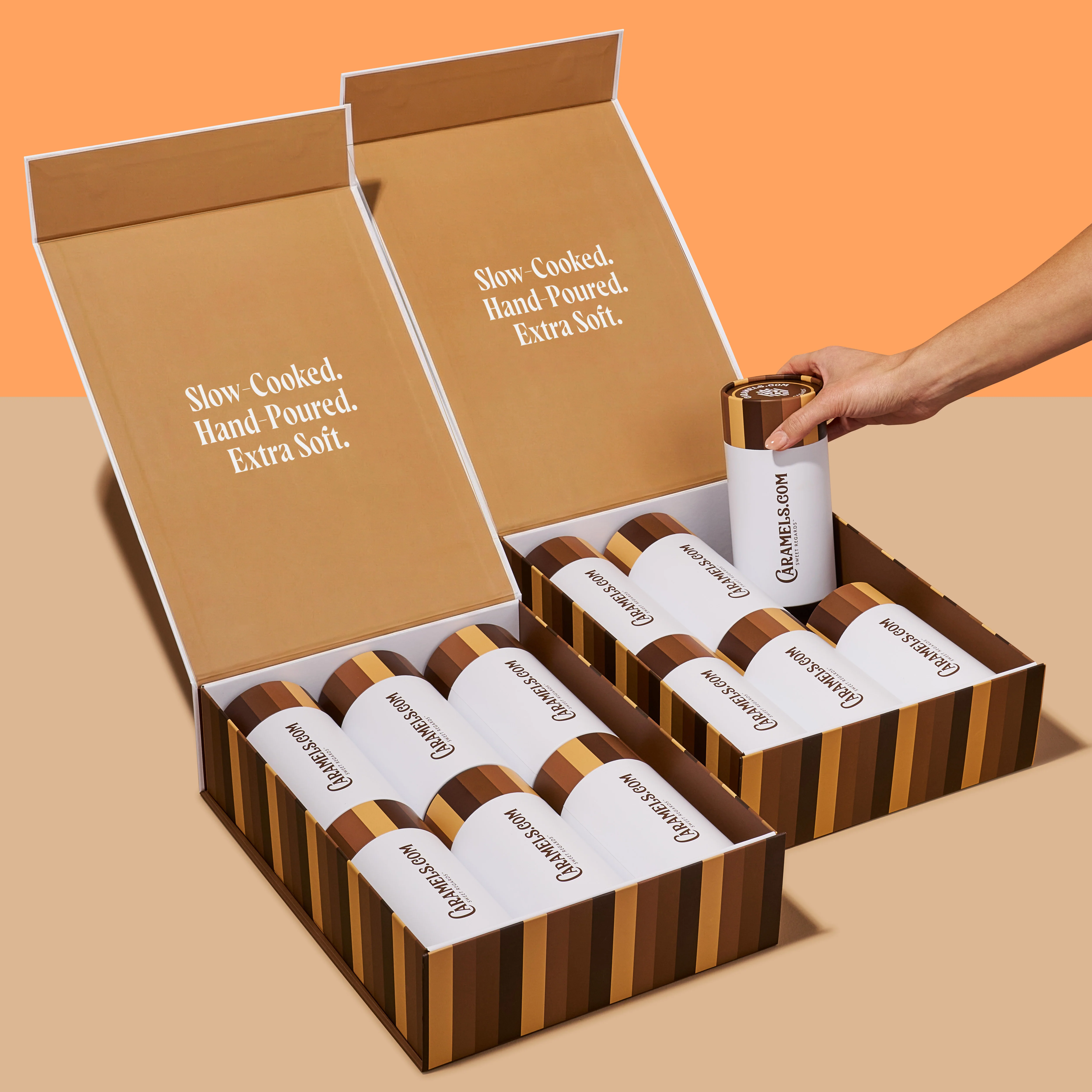 Bold Spiced Collection - 12 Tube Gift Box